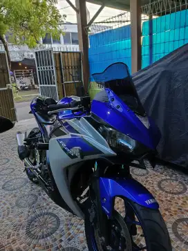 R25 blue gp mulus