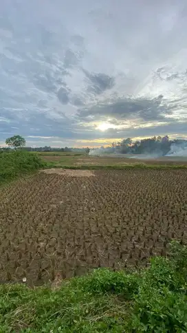 Dijual Tanah Padat Sawah Lokasi Strategis Legok, Tangerang