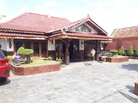 Rumah Etnik Jawa Murah Cocok Homestay Lokasi Dekat Kraton