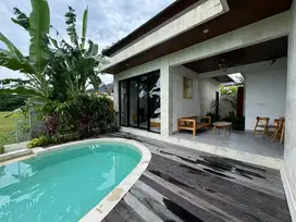 Jual Villa Mewah Dekat Air Terjun Sumampan dan Ubud Bali