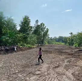 Tanah 1 Jt-an Di Jalan Kaliurang Pas Bangun Villa