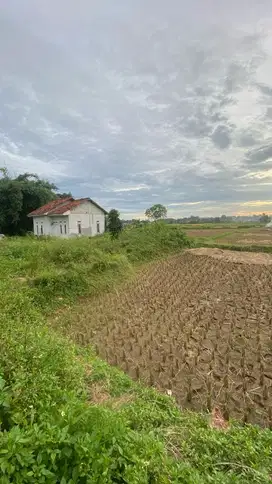 tanah padat sawah di Legok