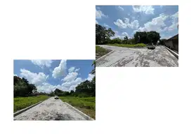 Karang Nongko Tirtomartani, Tanah Pekarangan