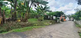 TANAH ABUSAMA COCOK UNTUK KOSAN PALEMBANG