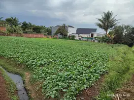 Tanah Kavling Luas Green Villas Cimahi Utara Ciawitali