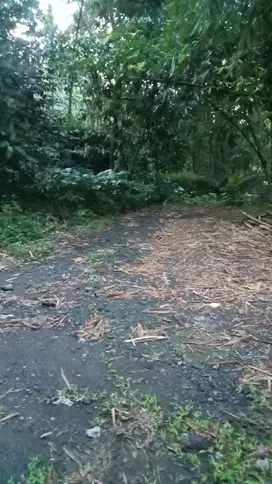 tegalan air melimpah di kampung