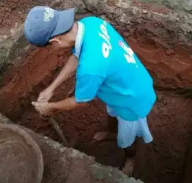 jual pohon hias dan bikin lubang sepiteng