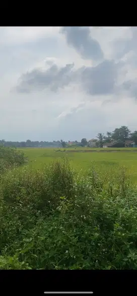 Dijual Tanah Di Legok Luas Tanah 935 M² SHM
