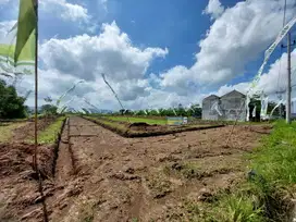 Tanah dijual Kawasan perumahan 2 jutaan; Area Kota Malang Bandulan