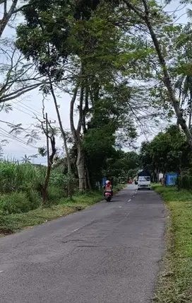 dijual tanah daerah gunung kawi 50ha