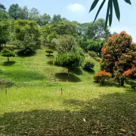 TANAH DI CISARUA PUNCAK, BERKONTUR SIAP BANGUN