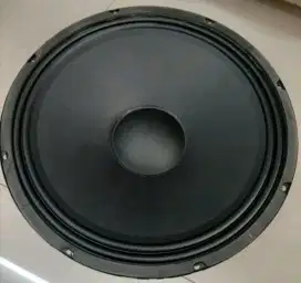 Spiker peavey 15inc