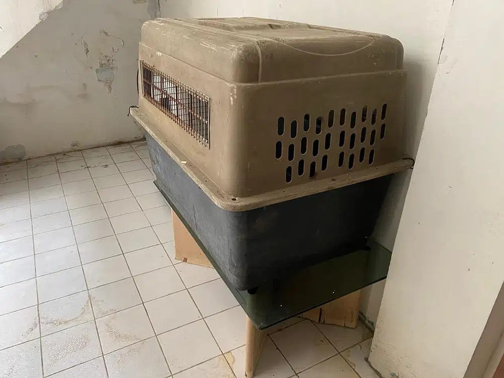 Kennel Box IMPORT USA : Merk PETMATE Ukuran Besar Bgt