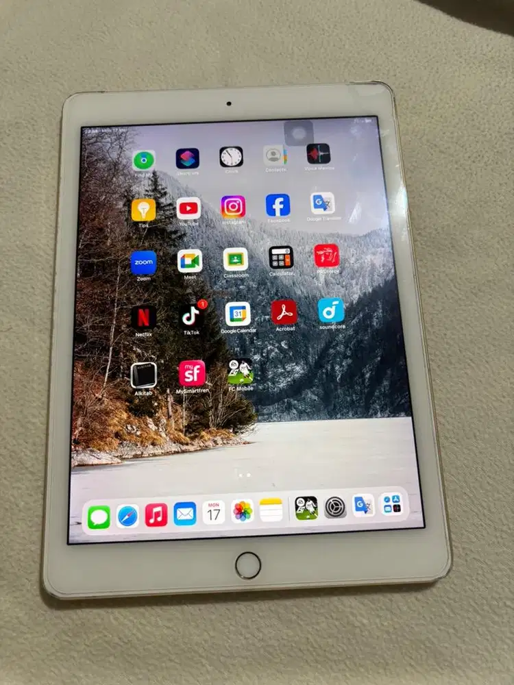 Ipad Air 2 64Gb Rose Gold Wifi Only
