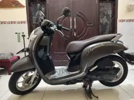 HONDA SCOOPY 2019