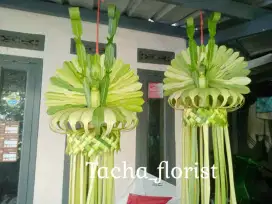 Janur kuning ..