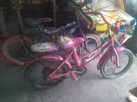 Sepeda anak borangan