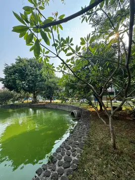 DIJUAL UNIT LANGKA KAVLING LOTUS PALACE PIK UK 768 M HOEK VIEW DANAU