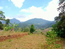 JUAL TANAH KEBUN PINGGIR JALAN SUASANA ASRI