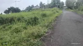 Tanah darat luas 2,2 hektar surat SHM