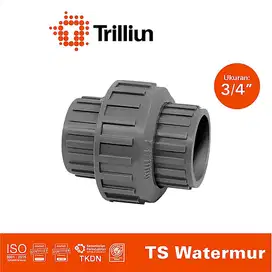 250318D PVC Trilliun Water Mur 3/4 Watermur 0,75 Inch Moor Triliun Fi