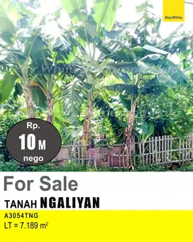 DIJUAL TANAH DI NGALIYAN A3054