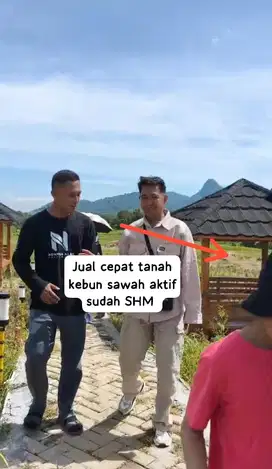 Jual cepat tanah kebun sawah aktif sudah SHM pinggir jalan raya