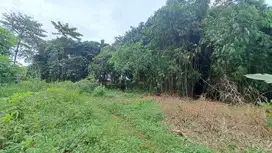 1 Jt-an Tanah Kavling Area Cileungsi, Dekat Citraland Cibubur, SHM