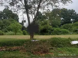Dijual tanah citra raya
