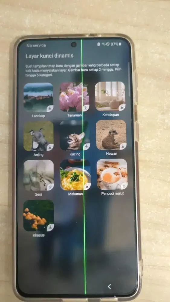 Lcd samsung s21 plus inter ya minus garis line hijau