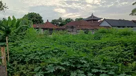Dijual Tanah di Mas Raya Ubud