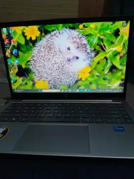 Laptop HP 14 inch Laptop 14-ep0555TU, Silver