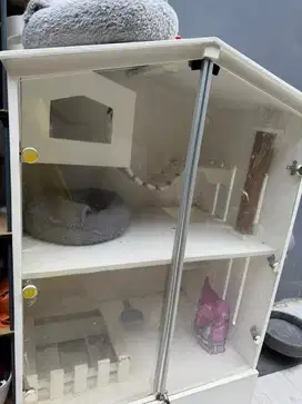 rumah kucing/ kandang kucing aestetik