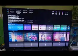 Smart Tv LED merk SONY 55in second