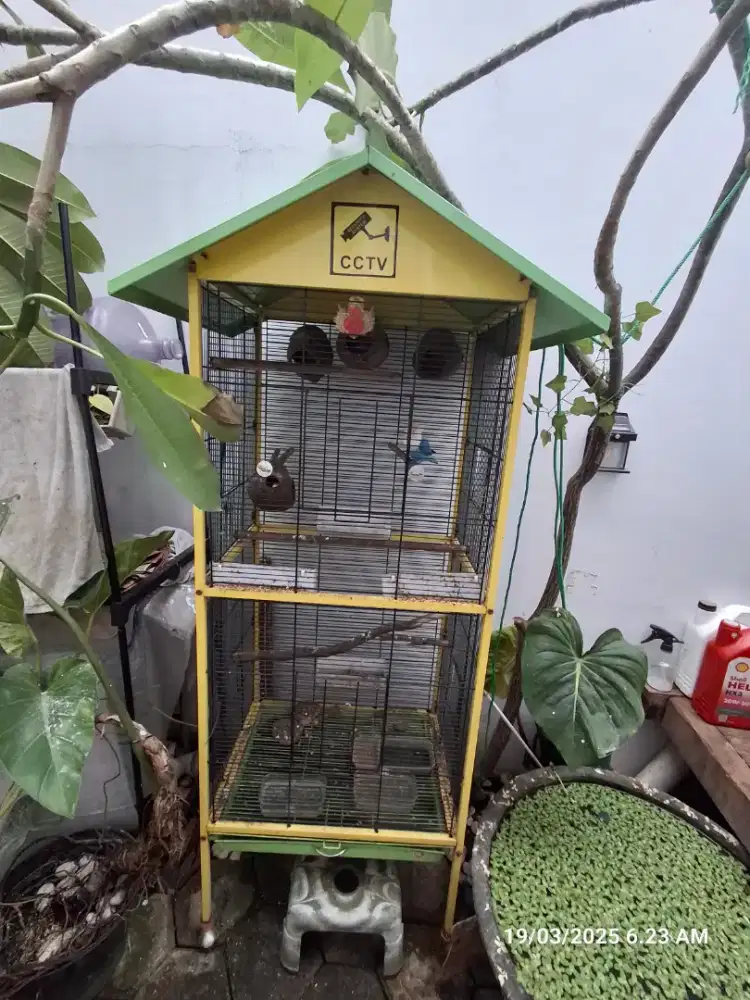 Kandang Burung 2 tingkat berkualitas
