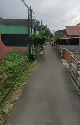 Tanah Dekat Undip, Lingkungan kos,