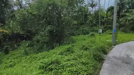 Di jual tanah los sungai dan junglePejeng