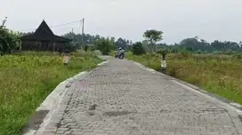 Tanah View Sawah di Ubud Gianyar, Cocok untuk Villa atau Investasi