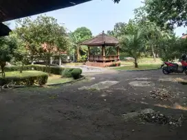 Dijual tanah murah dibawah harga njop
