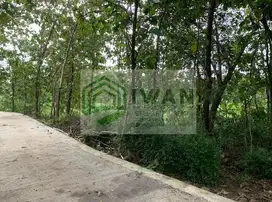 Tanah Luas & Murah Bisa Perluasan