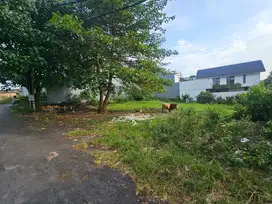tanah bumbak umalas 400m2