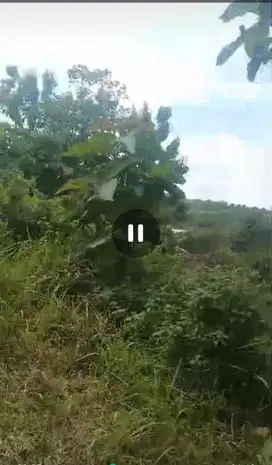 Dijual tanah murah nol jalan Bareng, Jombang