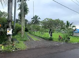 Tanah sebelah Awan Biru Villa Payangan
