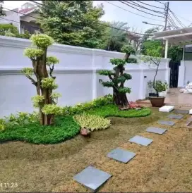 Tukang taman murah