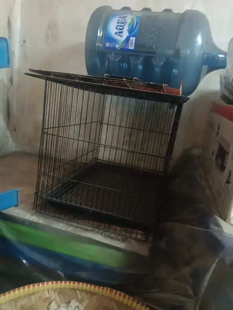 kandang sedang lovebird