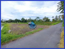 Ring 1 Kampus UII Jogja, Tanah Kost Area Jl.Kaliurang