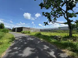 Dijual Tanah Jogja Utara, Prospek Bangun Homestay