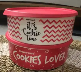 Original Tupperware cookies tin