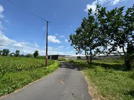 Tanah Murah Kaliurang Sleman, Mangku Jalan Aspal