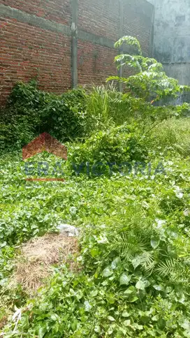 tanah Jual Dekat Ruko WOW Sawojajar dan Tempat Kuliner